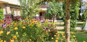 ������ ���� ��� ���� 2-�����