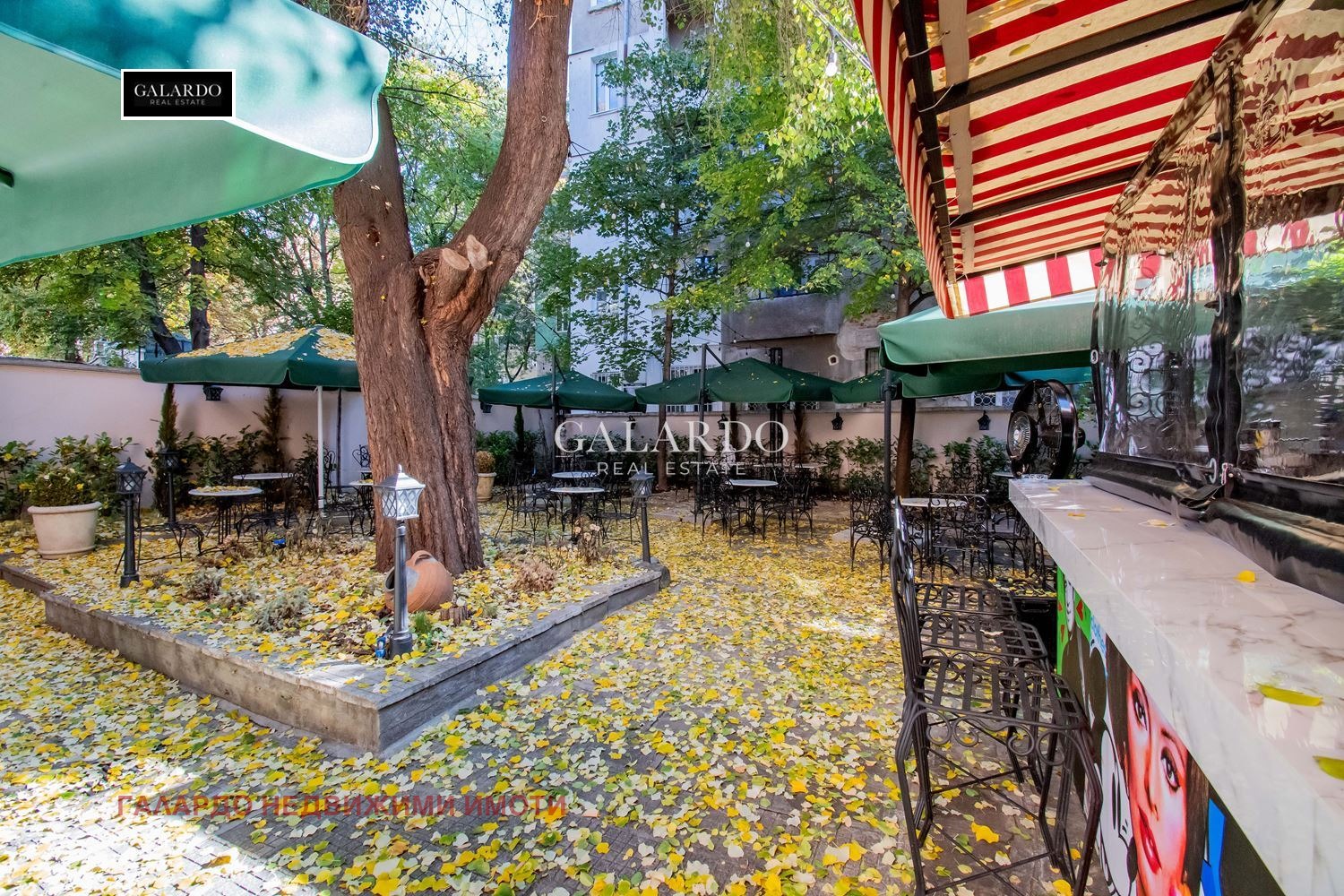 Дава под наем ЗАВЕДЕНИЕ, гр. София, Център, снимка 2 - Заведения - 53886685