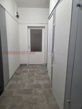 ����� ���� ��� ���� 3-�����,���� ������, ���������