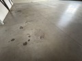 Дава под наем  Склад град Пловдив , Кючук Париж , 452 кв.м | 49530739 - изображение [6]
