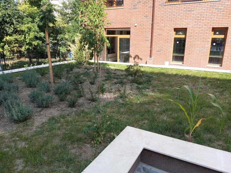 Дава под наем ОФИС, гр. София, Дианабад, снимка 16 - Офиси - 53588833