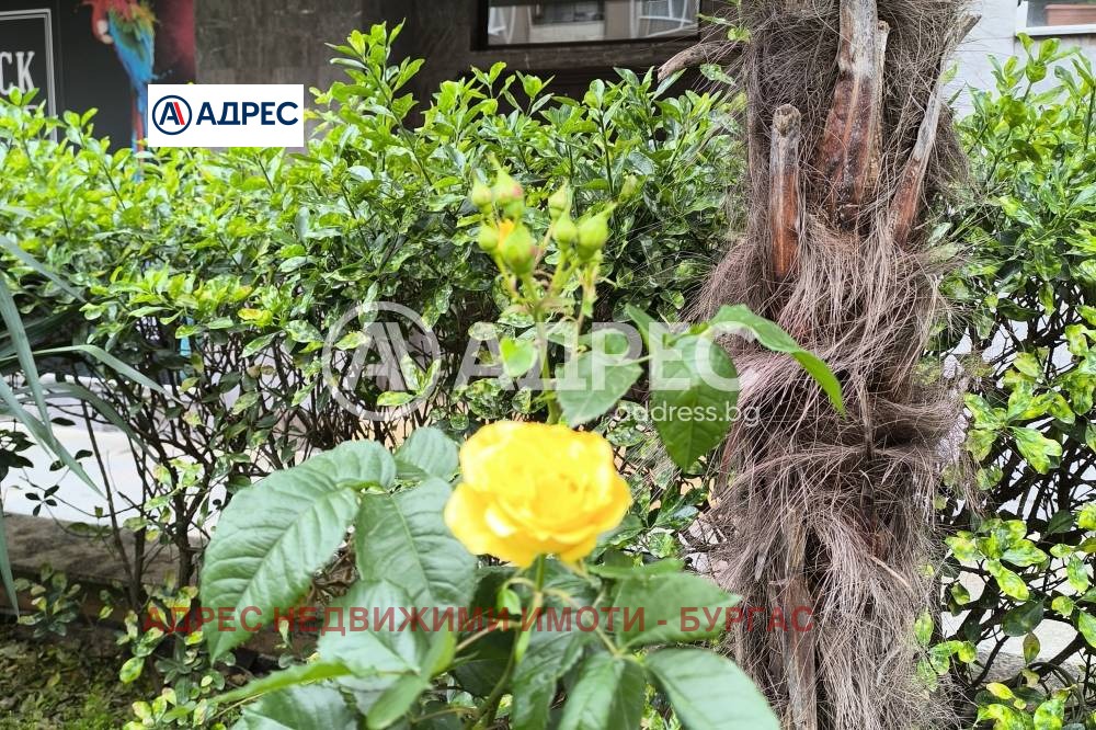 ���� ��� ���� 2-����� | Imot.bg � ����������� 14