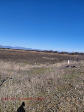 ������ ���� ��� ���� �����