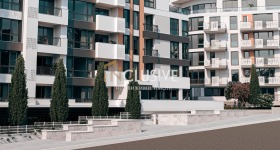 ������ ���� ��� ���� �������