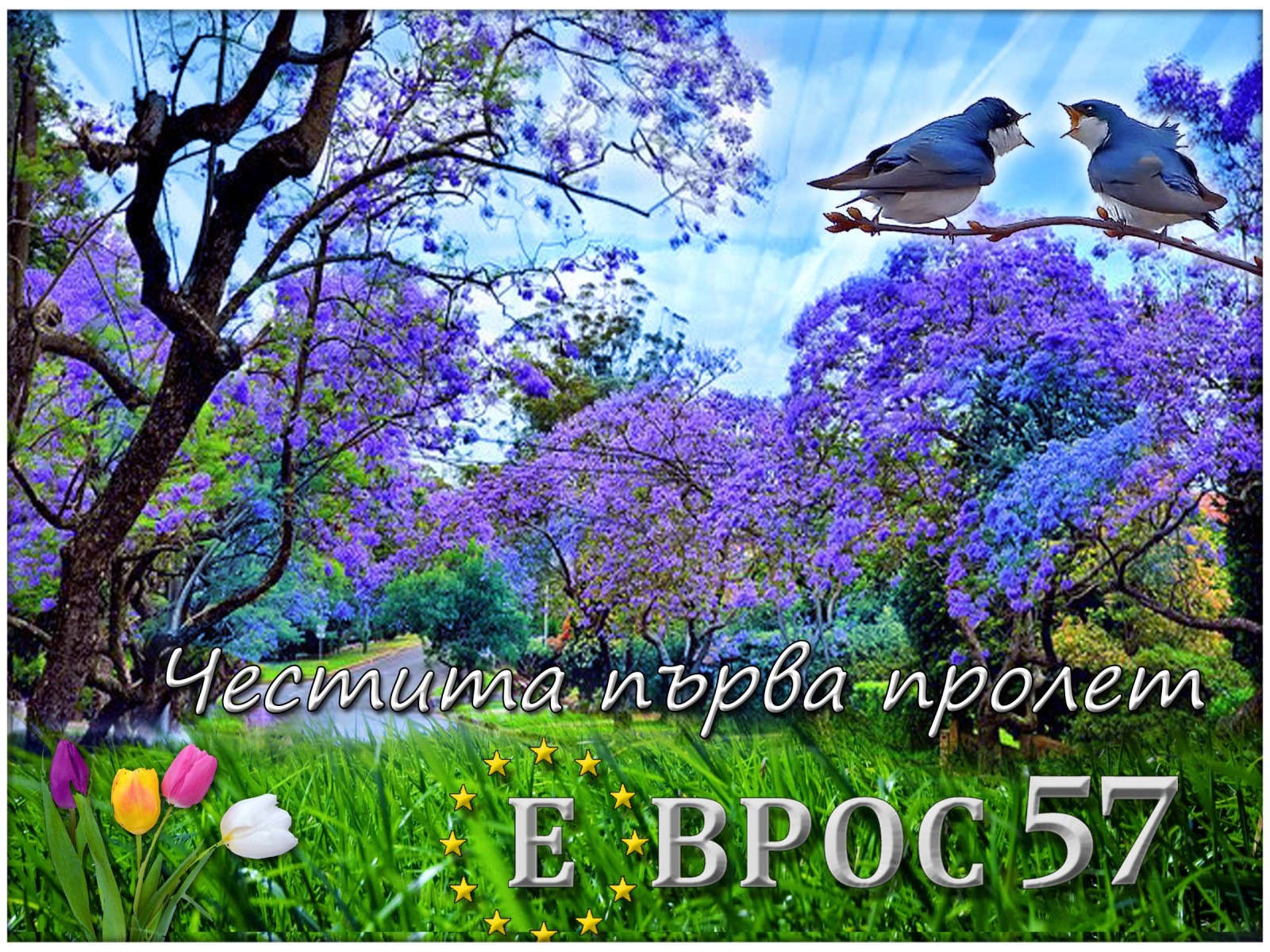 Дава под наем 3-СТАЕН, гр. Пловдив, Център