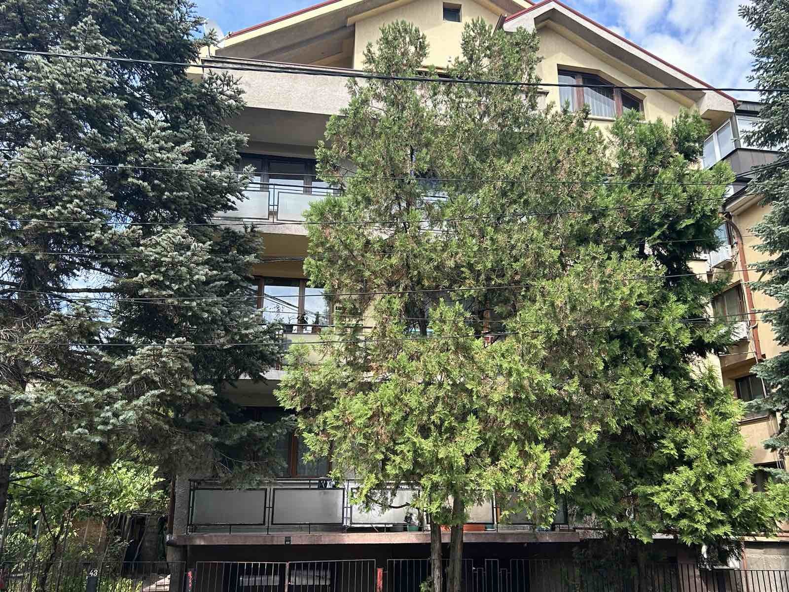 Дава под наем СТАЯ, гр. София, Редута, снимка 14 - Стаи под наем - 56182517