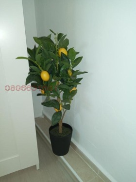    2- | Imot.bg    7