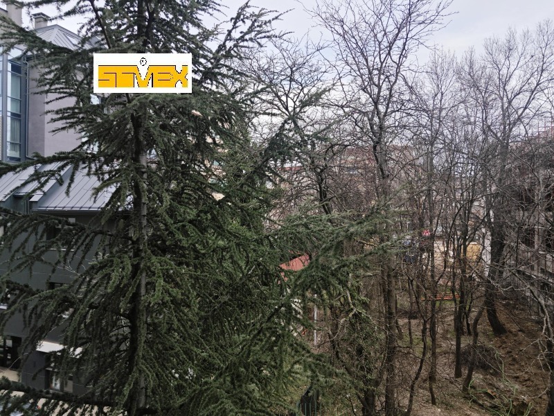 Дава под наем 4-СТАЕН, гр. София, Лозенец, снимка 9 - Апартаменти - 50402180