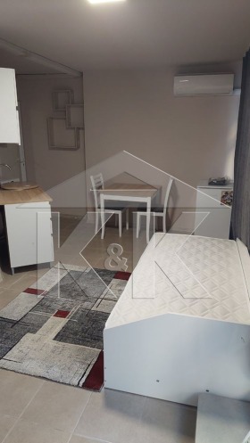 Studio Kolhozen pazar, Warna