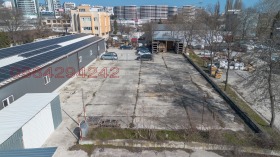 ����� ���� ��� ���� �����,���� �����, ������� ���������� ����