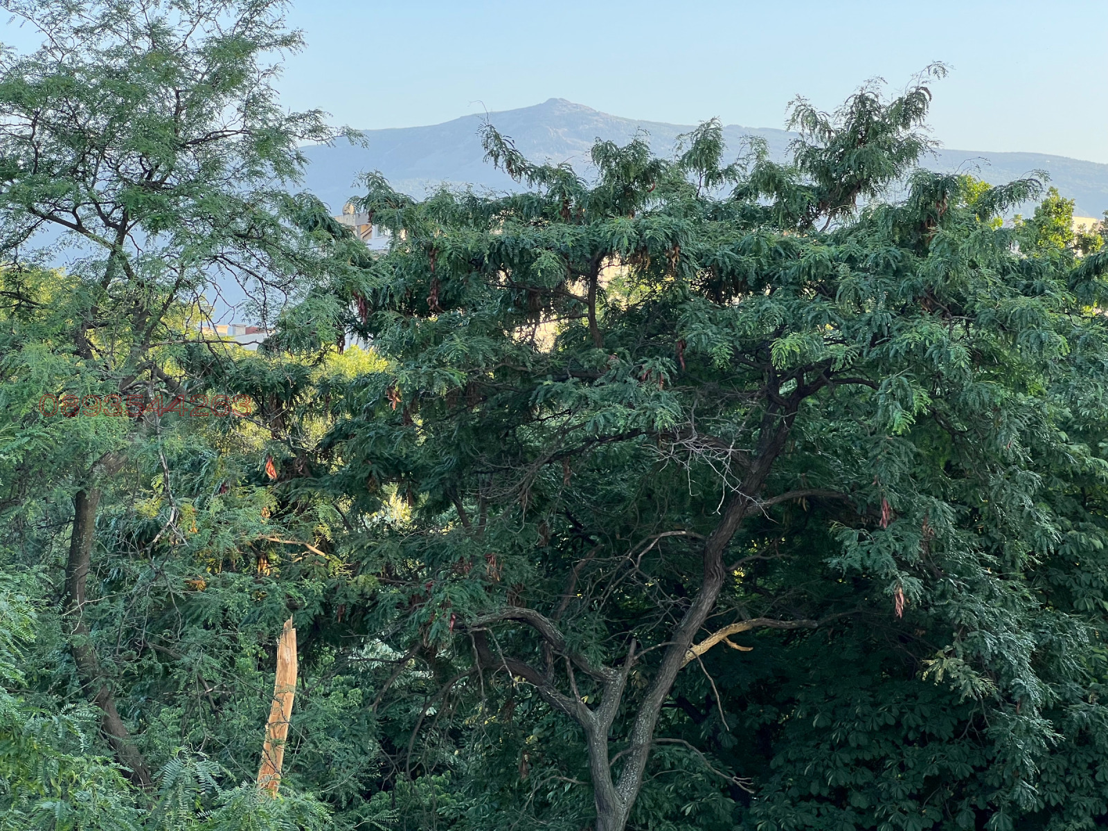 ���� ��� ���� 4-����� | Imot.bg � ����������� 5