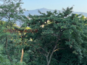 ���� ��� ���� 4-����� | Imot.bg � ����� ������ 5