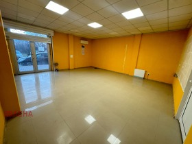 ����� ���� ��� ���� �������,���� �����, ������ �