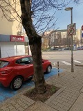 Дава под наем  Гараж, Паркомясто град София , Център , 20 кв.м | 83865002 - изображение [9]