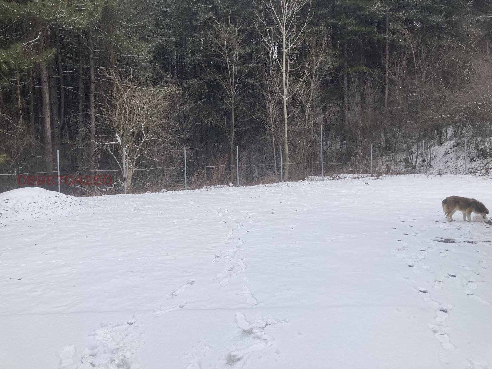 ���� ��� ���� ���������� | Imot.bg � ����������� 10