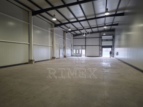 ����� ���� ��� ���� �����,���� �������, ������������ ���� - ��