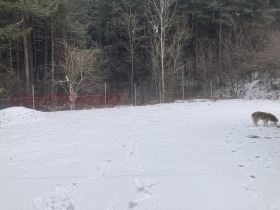 ���� ��� ���� ���������� | Imot.bg � ����� ������ 10