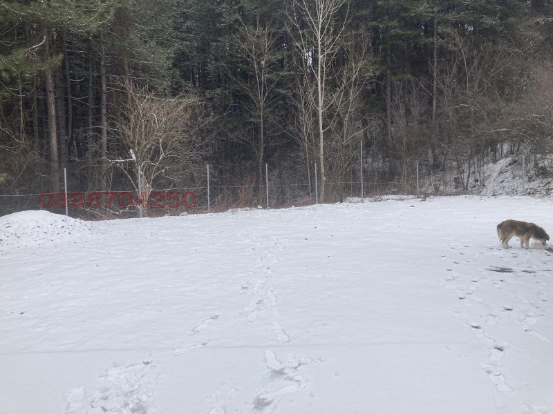 Дава под наем БИЗНЕС ИМОТ, гр. Перник, Калкас, снимка 9 - Други - 53193456