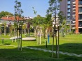 Дава под наем 2-СТАЕН, гр. София, Красно село, снимка 12