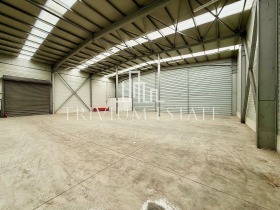 ����� ���� ��� ���� �����,���� �������, ������������ ���� - ��