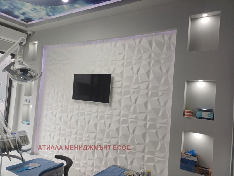 Дава под наем БИЗНЕС ИМОТ, гр. Пловдив, Център, снимка 2 - Други - 49955725