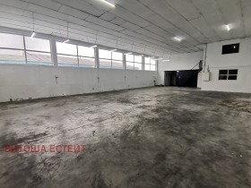 ����� ���� ��� ���� �����,���� �����, ���������