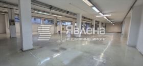 ������ ���� ��� ���� ����. ���������