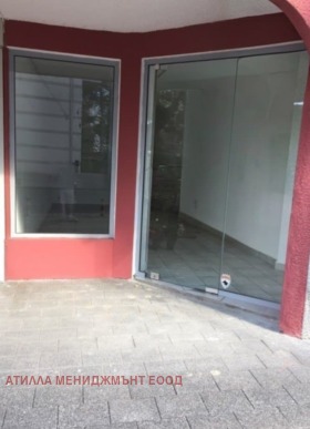 ����� ���� ��� ���� �������,���� �������, ������