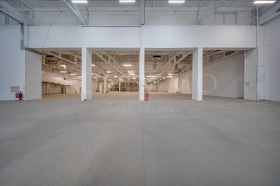 ����� ���� ��� ���� �����,���� �����, ���������