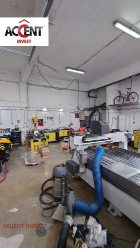 ����� ���� ��� ���� �����,���� �����, �������