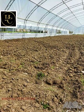 ����� ���� ��� ���� ���������� ����,�. ��������, ������ �����>