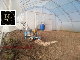 ������ ���� ��� ���� ���������� ����