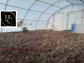 ����� ���� ��� ���� ���������� ����,�. ��������, ������ �����