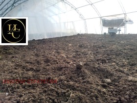 ����� ���� ��� ���� ���������� ����,�. ��������, ������ �����