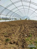 Дава под наем  Земеделска земя област Варна , с. Куманово , 1 дка | 23418584 - изображение [5]