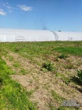 Дава под наем  Земеделска земя област Варна , с. Куманово , 1 дка | 23418584 - изображение [7]