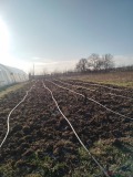 Дава под наем  Земеделска земя област Варна , с. Куманово , 1 дка | 23418584 - изображение [8]