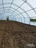 Дава под наем  Земеделска земя област Варна , с. Куманово , 1 дка | 23418584 - изображение [6]