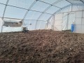 Дава под наем  Земеделска земя област Варна , с. Куманово , 1 дка | 23418584 - изображение [2]