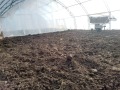 Дава под наем  Земеделска земя област Варна , с. Куманово , 1 дка | 23418584 - изображение [3]