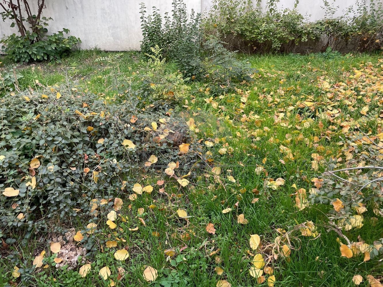 ���� ��� ���� 3-����� | Imot.bg � ����������� 17