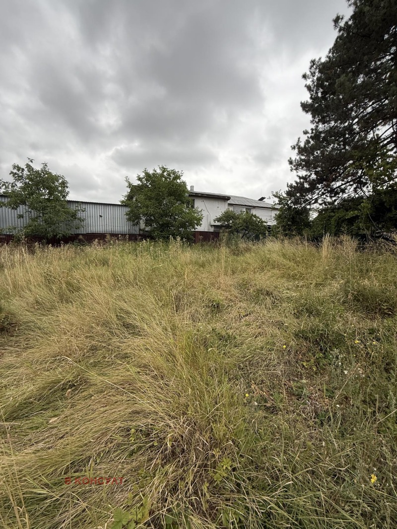 Kiadó  Cselekmény Sofia , Suhodol , 2362 négyzetméter | 31402833