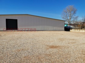 ������ ���� ��� ���� �����