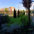 Дава под наем 2-СТАЕН, гр. София, Люлин 10, снимка 10