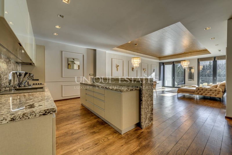K pronájmu  1 ložnice Sofia , Bojana , 107 m2 | 62995544 - obraz [3]