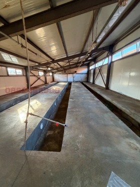 ���� ��� ���� ����. ��������� | Imot.bg � ����� ������ 7