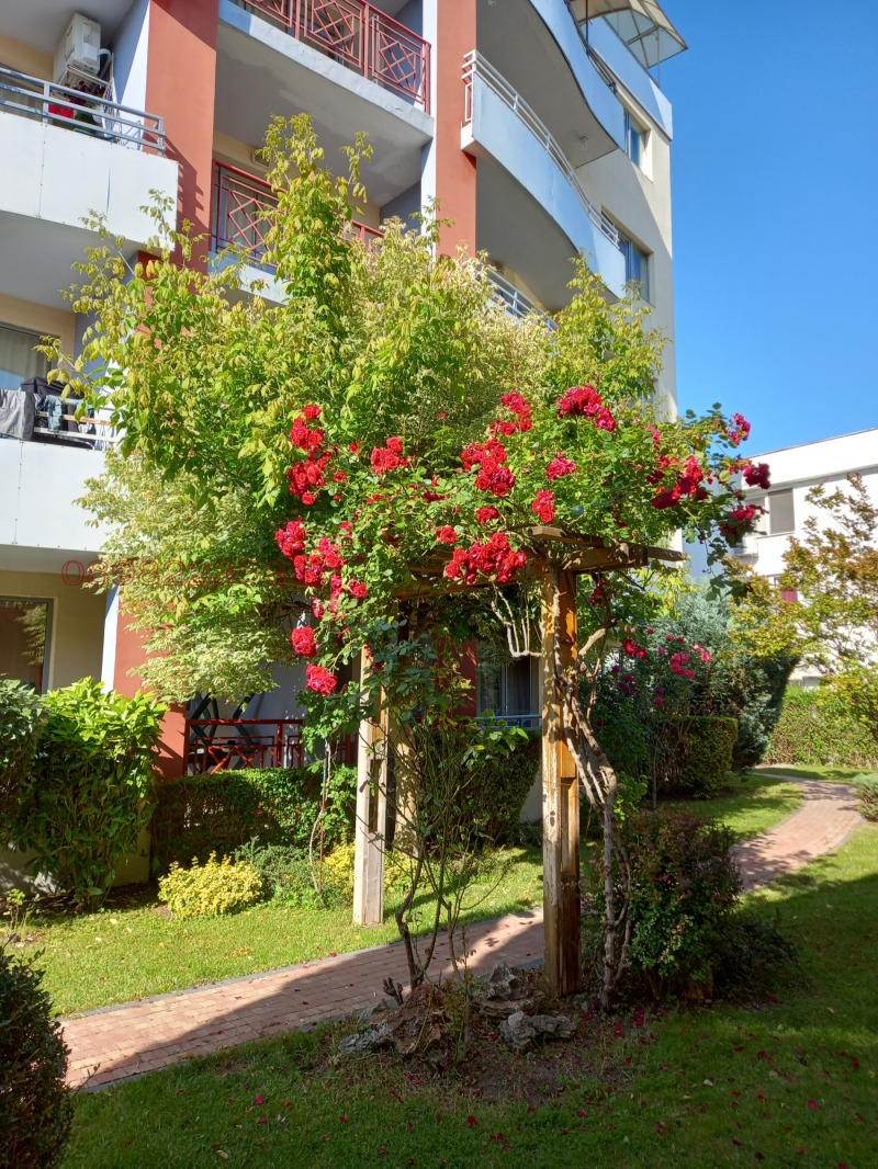 Дава под наем 1-СТАЕН, к.к. Слънчев бряг, област Бургас, снимка 7 - Апартаменти - 52754846