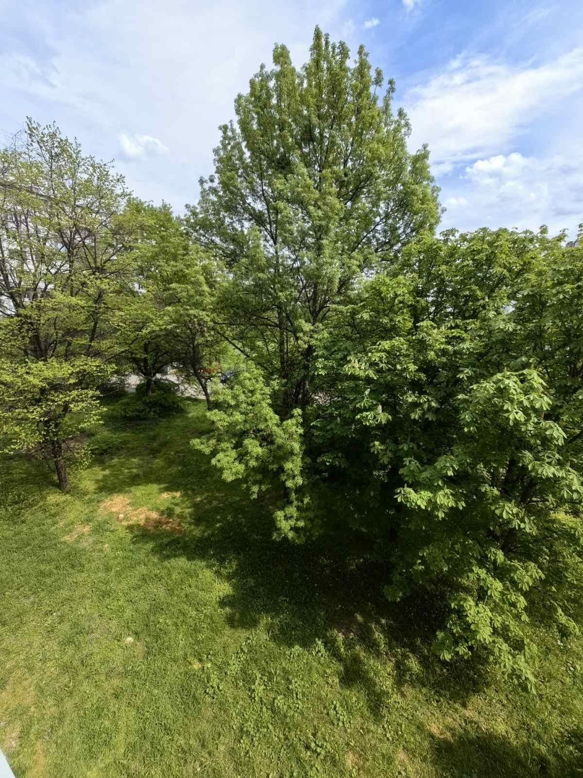 Дава под наем 1-СТАЕН, гр. София, Младост 1, снимка 7 - Апартаменти - 54371816