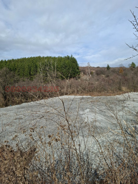 ���� ��� ���� ����� | Imot.bg � ����� ������ 6