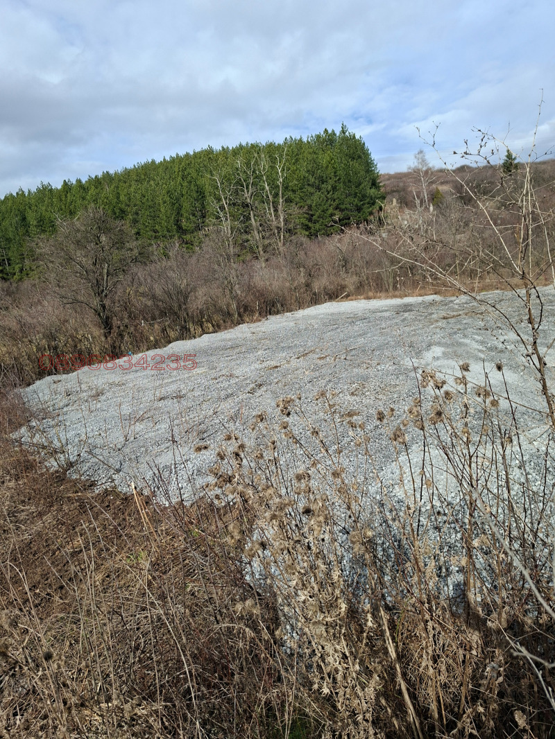 Дава под наем МЯСТО, гр. Перник, Изток, снимка 5 - Парцели - 53482247